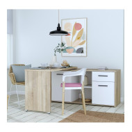 Mesa escritorio multifunción VALKIRIA