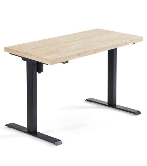 Mesa escritorio motorizado ELEVATE