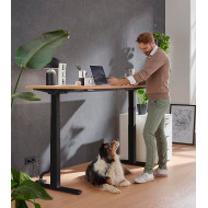 Mesa escritorio motorizado ELEVATE