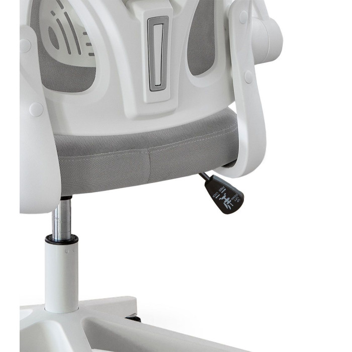 Silla de escritorio giratoria CARLY