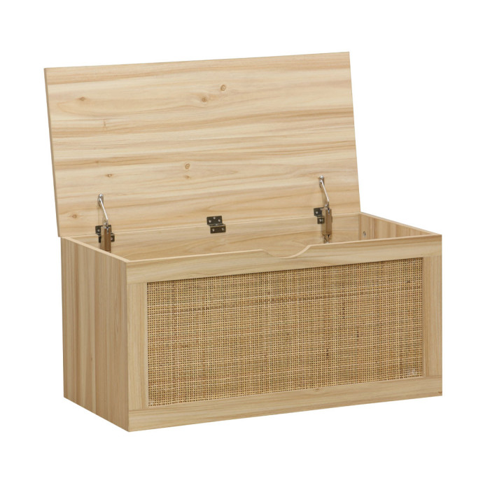 Baúl de almacenaje de ratán CAMILE